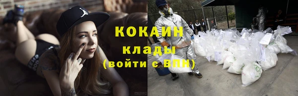 spice Богородск