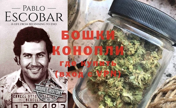 мдпв Богданович