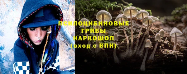 spice Богородск