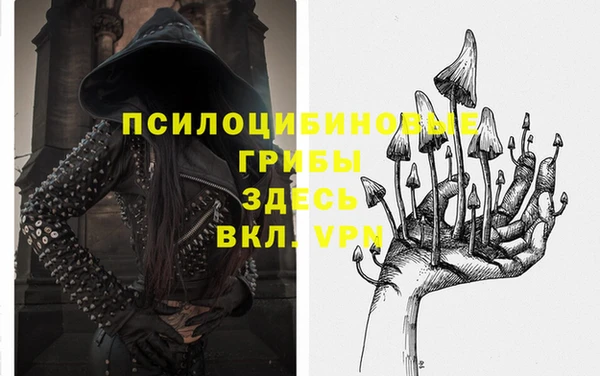 спайс Белокуриха