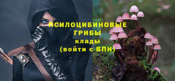 ECSTASY Балахна
