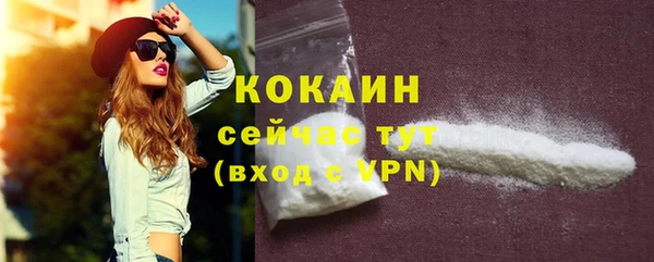 spice Богородск