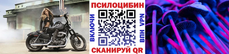 Псилоцибиновые грибы Psilocybine cubensis  Армавир 